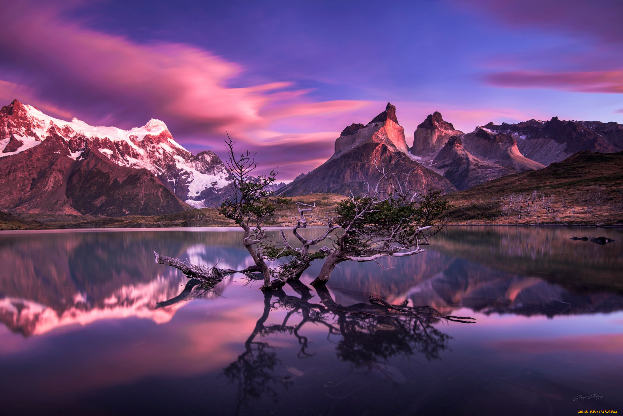 Невероятно красиво видео. Национальный парк Торрес-дель-Пайне Чили. Природа. Нереальные пейзажи. Красота гор.